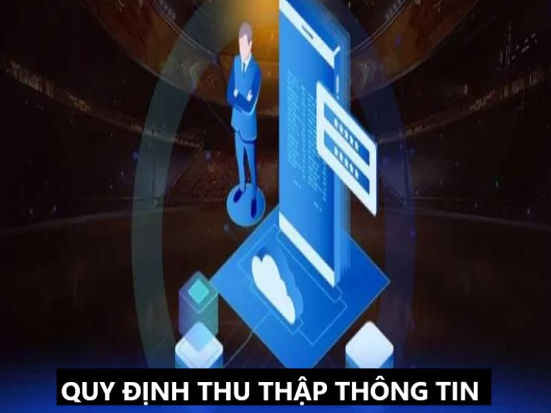 Cách thức thu thập thông tin của người tham gia cá cược 